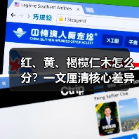 红、黄、褐榄仁木怎么分?一文厘清核心差异与应用边界(图2) 红、黄、褐榄仁木怎么分?一文厘清核心差异与应用边界(图2)