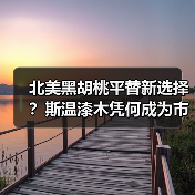 北美黑胡桃平替新选择?斯温漆木凭何成为市场新宠(图2) 北美黑胡桃平替新选择?斯温漆木凭何成为市场新宠(图2)