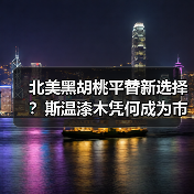 北美黑胡桃平替新选择?斯温漆木凭何成为市场新宠(图4) 北美黑胡桃平替新选择?斯温漆木凭何成为市场新宠(图4)