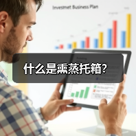 什么是熏蒸托箱?(图2) 什么是熏蒸托箱?(图2)