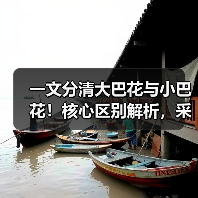 一文分清大巴花与小巴花!核心区别解析,采购避坑必看(图2) 一文分清大巴花与小巴花!核心区别解析,采购避坑必看(图2)