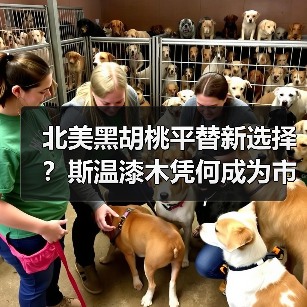 玄熵富翔地板之家 - 高品质地板销售与安装服务