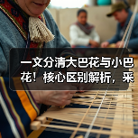一文分清大巴花与小巴花!核心区别解析,采购避坑必看(图2) 一文分清大巴花与小巴花!核心区别解析,采购避坑必看(图2)