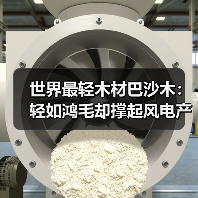 世界最轻木材巴沙木:轻如鸿毛却撑起风电产业半边天(图2) 世界最轻木材巴沙木:轻如鸿毛却撑起风电产业半边天(图2)