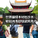 世界最轻木材巴沙木:轻如鸿毛却撑起风电产业半边天(图3) 世界最轻木材巴沙木:轻如鸿毛却撑起风电产业半边天(图3)