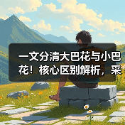 一文分清大巴花与小巴花!核心区别解析,采购避坑必看(图3) 一文分清大巴花与小巴花!核心区别解析,采购避坑必看(图3)