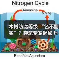木材防腐等级 “名不副实”?建筑专家揭秘 H3 失效背后的设计危机(图4) 木材防腐等级 “名不副实”?建筑专家揭秘 H3 失效背后的设计危机(图4)