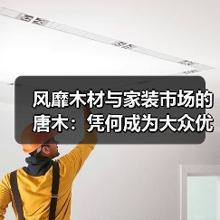 风靡木材与家装市场的唐木:凭何成为大众优选材种?(图3) 风靡木材与家装市场的唐木:凭何成为大众优选材种?(图3)