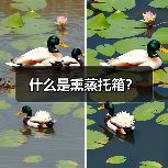 玄熵富翔地板之家 - 高品质地板销售与安装服务