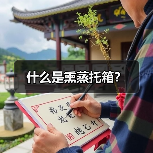 什么是熏蒸托箱?(图2) 什么是熏蒸托箱?(图2)
