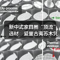 新中式家具圈“顶流”选材:爱里古夷苏木凭什么圈粉无数?(图4) 新中式家具圈“顶流”选材:爱里古夷苏木凭什么圈粉无数?(图4)
