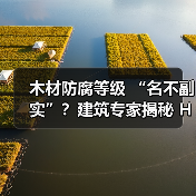 木材防腐等级 “名不副实”?建筑专家揭秘 H3 失效背后的设计危机(图4) 木材防腐等级 “名不副实”?建筑专家揭秘 H3 失效背后的设计危机(图4)