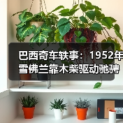 玄熵富翔地板之家 - 高品质地板销售与安装服务