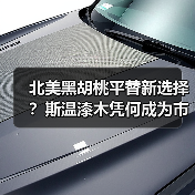 北美黑胡桃平替新选择?斯温漆木凭何成为市场新宠(图2) 北美黑胡桃平替新选择?斯温漆木凭何成为市场新宠(图2)