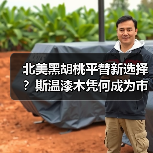 北美黑胡桃平替新选择?斯温漆木凭何成为市场新宠(图4) 北美黑胡桃平替新选择?斯温漆木凭何成为市场新宠(图4)