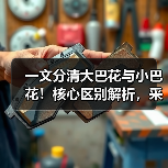 一文分清大巴花与小巴花！核心区别解析，采购避坑必看（图3）