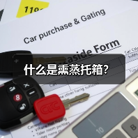 什么是熏蒸托箱?(图4) 什么是熏蒸托箱?(图4)