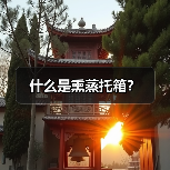 什么是熏蒸托箱?(图3) 什么是熏蒸托箱?(图3)