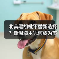 北美黑胡桃平替新选择?斯温漆木凭何成为市场新宠(图3) 北美黑胡桃平替新选择?斯温漆木凭何成为市场新宠(图3)