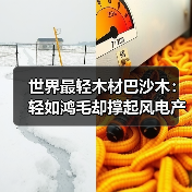 世界最轻木材巴沙木:轻如鸿毛却撑起风电产业半边天(图2) 世界最轻木材巴沙木:轻如鸿毛却撑起风电产业半边天(图2)