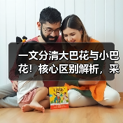 一文分清大巴花与小巴花!核心区别解析,采购避坑必看(图4) 一文分清大巴花与小巴花!核心区别解析,采购避坑必看(图4)