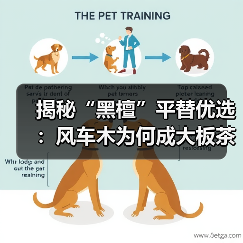 玄熵富翔地板之家 - 高品质地板销售与安装服务