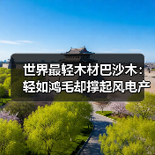 世界最轻木材巴沙木:轻如鸿毛却撑起风电产业半边天(图3) 世界最轻木材巴沙木:轻如鸿毛却撑起风电产业半边天(图3)