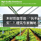 木材防腐等级 “名不副实”?建筑专家揭秘 H3 失效背后的设计危机(图3) 木材防腐等级 “名不副实”?建筑专家揭秘 H3 失效背后的设计危机(图3)