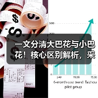 一文分清大巴花与小巴花!核心区别解析,采购避坑必看(图2) 一文分清大巴花与小巴花!核心区别解析,采购避坑必看(图2)