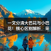 一文分清大巴花与小巴花!核心区别解析,采购避坑必看(图3) 一文分清大巴花与小巴花!核心区别解析,采购避坑必看(图3)