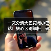 一文分清大巴花与小巴花!核心区别解析,采购避坑必看(图4) 一文分清大巴花与小巴花!核心区别解析,采购避坑必看(图4)