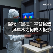 揭秘“黑檀”平替优选:风车木为何成大板茶桌高端材质新宠?(图2) 揭秘“黑檀”平替优选:风车木为何成大板茶桌高端材质新宠?(图2)