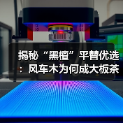 揭秘“黑檀”平替优选:风车木为何成大板茶桌高端材质新宠?(图4) 揭秘“黑檀”平替优选:风车木为何成大板茶桌高端材质新宠?(图4)