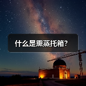 什么是熏蒸托箱?(图1) 什么是熏蒸托箱?(图1)