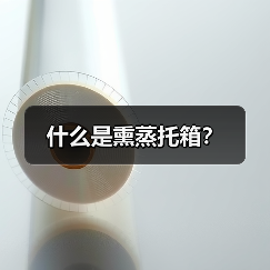 什么是熏蒸托箱?(图3) 什么是熏蒸托箱?(图3)
