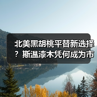 北美黑胡桃平替新选择?斯温漆木凭何成为市场新宠(图2) 北美黑胡桃平替新选择?斯温漆木凭何成为市场新宠(图2)