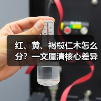 红、黄、褐榄仁木怎么分？一文厘清核心差异与应用边界（图3）