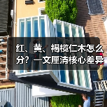 红、黄、褐榄仁木怎么分？一文厘清核心差异与应用边界（图2）