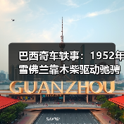 巴西奇车轶事：1952年雪佛兰靠木柴驱动驰骋半世纪（图4）