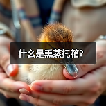 什么是熏蒸托箱?(图1) 什么是熏蒸托箱?(图1)