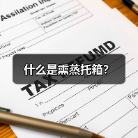 什么是熏蒸托箱?(图2) 什么是熏蒸托箱?(图2)