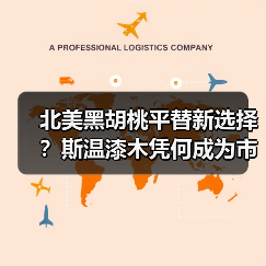 北美黑胡桃平替新选择?斯温漆木凭何成为市场新宠(图3) 北美黑胡桃平替新选择?斯温漆木凭何成为市场新宠(图3)