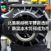 北美黑胡桃平替新选择?斯温漆木凭何成为市场新宠(图1) 北美黑胡桃平替新选择?斯温漆木凭何成为市场新宠(图1)