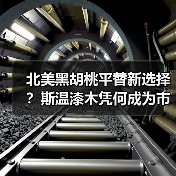 北美黑胡桃平替新选择?斯温漆木凭何成为市场新宠(图4) 北美黑胡桃平替新选择?斯温漆木凭何成为市场新宠(图4)
