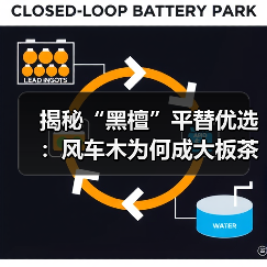 揭秘“黑檀”平替优选:风车木为何成大板茶桌高端材质新宠?(图4) 揭秘“黑檀”平替优选:风车木为何成大板茶桌高端材质新宠?(图4)