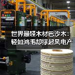 世界最轻木材巴沙木:轻如鸿毛却撑起风电产业半边天(图4) 世界最轻木材巴沙木:轻如鸿毛却撑起风电产业半边天(图4)