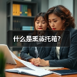 什么是熏蒸托箱？（图3）