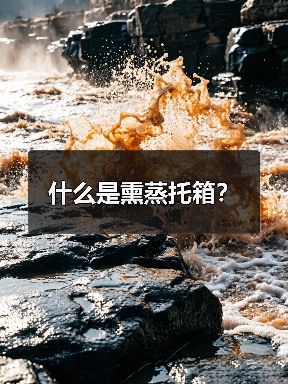什么是熏蒸托箱？（图4）