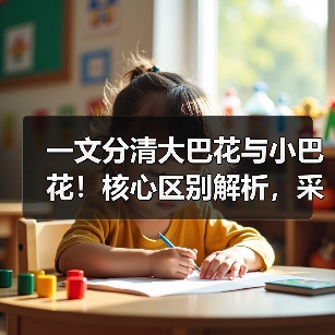 一文分清大巴花与小巴花!核心区别解析,采购避坑必看(图3) 一文分清大巴花与小巴花!核心区别解析,采购避坑必看(图3)