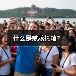 什么是熏蒸托箱?(图2) 什么是熏蒸托箱?(图2)